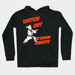 Watch out he knows Karate - dog knows karate Hoodie